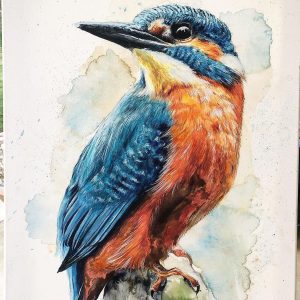 Blue Kingfisher - Watercolour Paint on Canvas