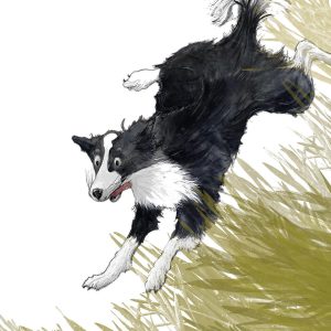 Sheep Dog - Watercolour Paint on Canvas