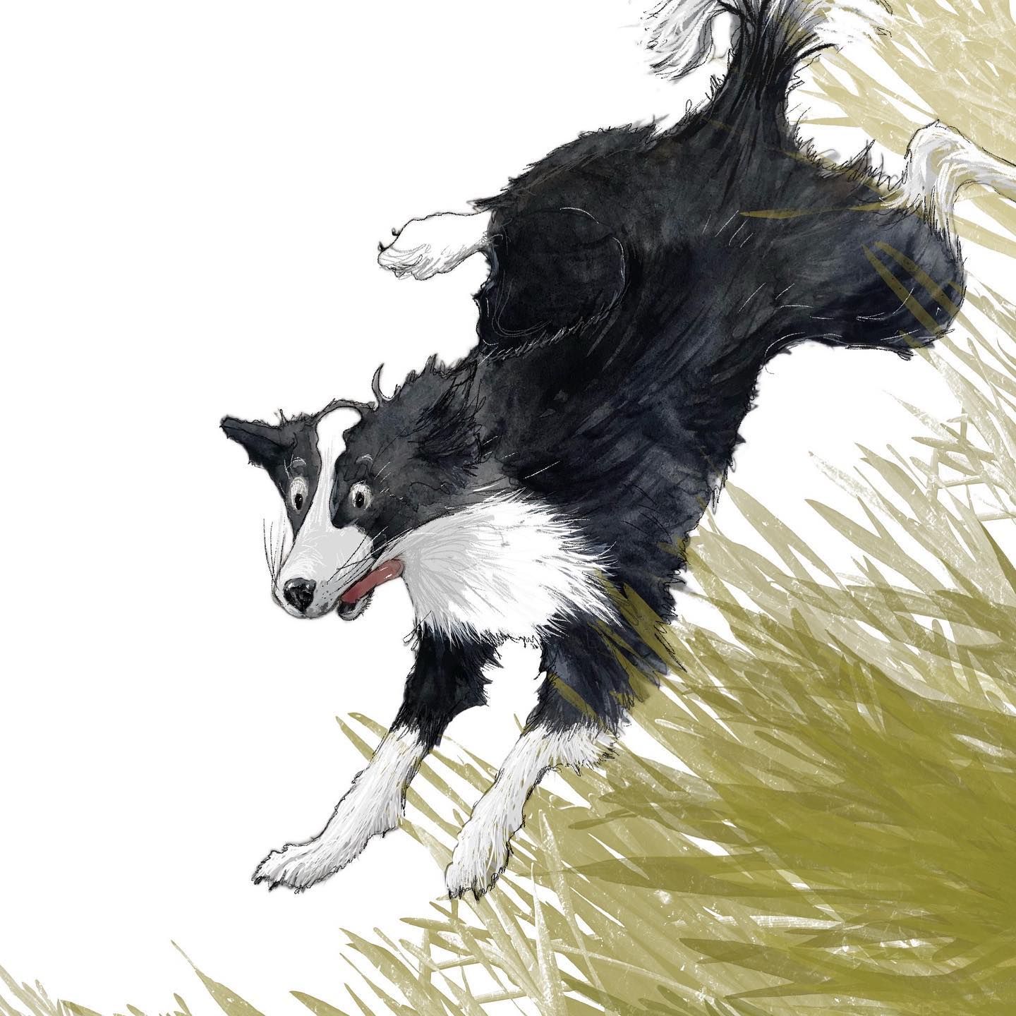 Sheep Dog - Watercolour Paint on Canvas