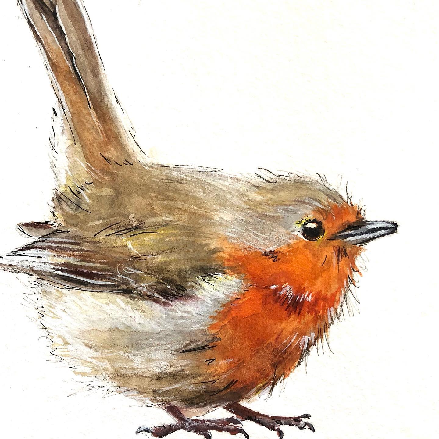 Robin Bird - Watercolour Paint on Canvas